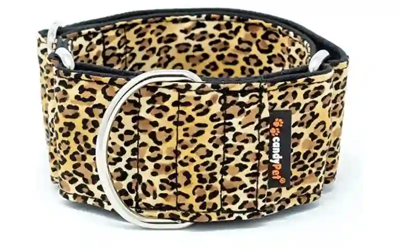 collar de leopardo para galgos amazon, collar de leopardo para perros amazon, collar moderno para galgos